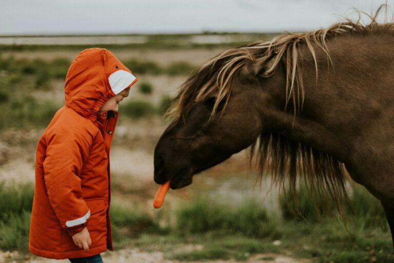 Partners in Time: The Evolution of Human-Animal Relationships