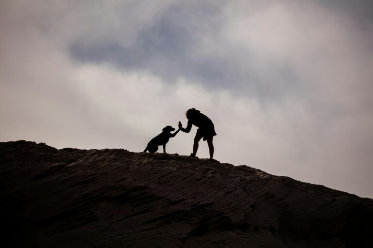 Shared Worlds: Exploring the Emotional Connection Between Humans and Animals
